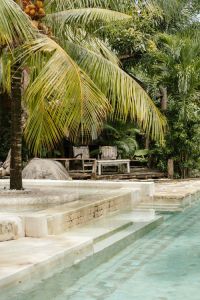 Tropical resort pool with palm trees